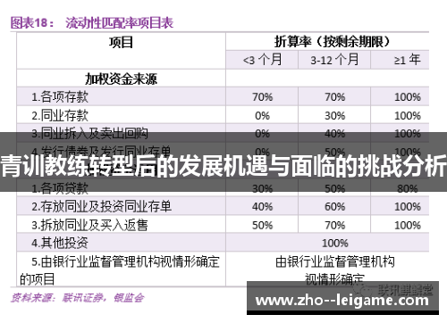 青训教练转型后的发展机遇与面临的挑战分析